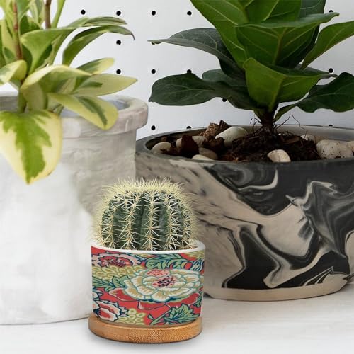 Pink and Blue Ceramic Round Flower Pots with Drainage Holes and Bamboo Tray K72412