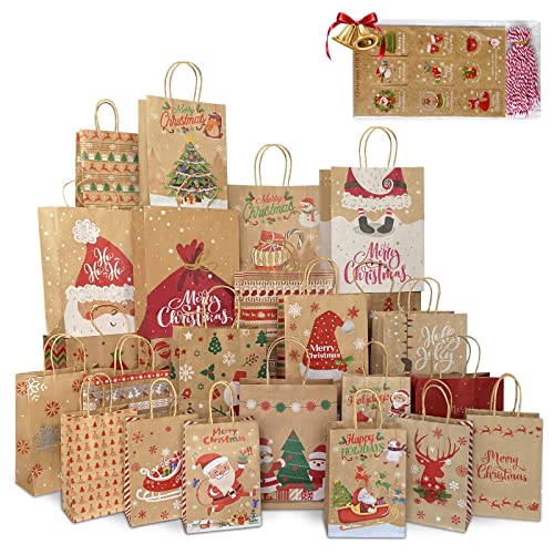24 Pack Assorted Sizes Kraft Paper Bags with Handles and 50 Tags C48045