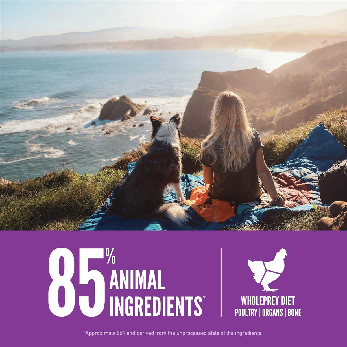 Large Breed Dry Dog Food C85188