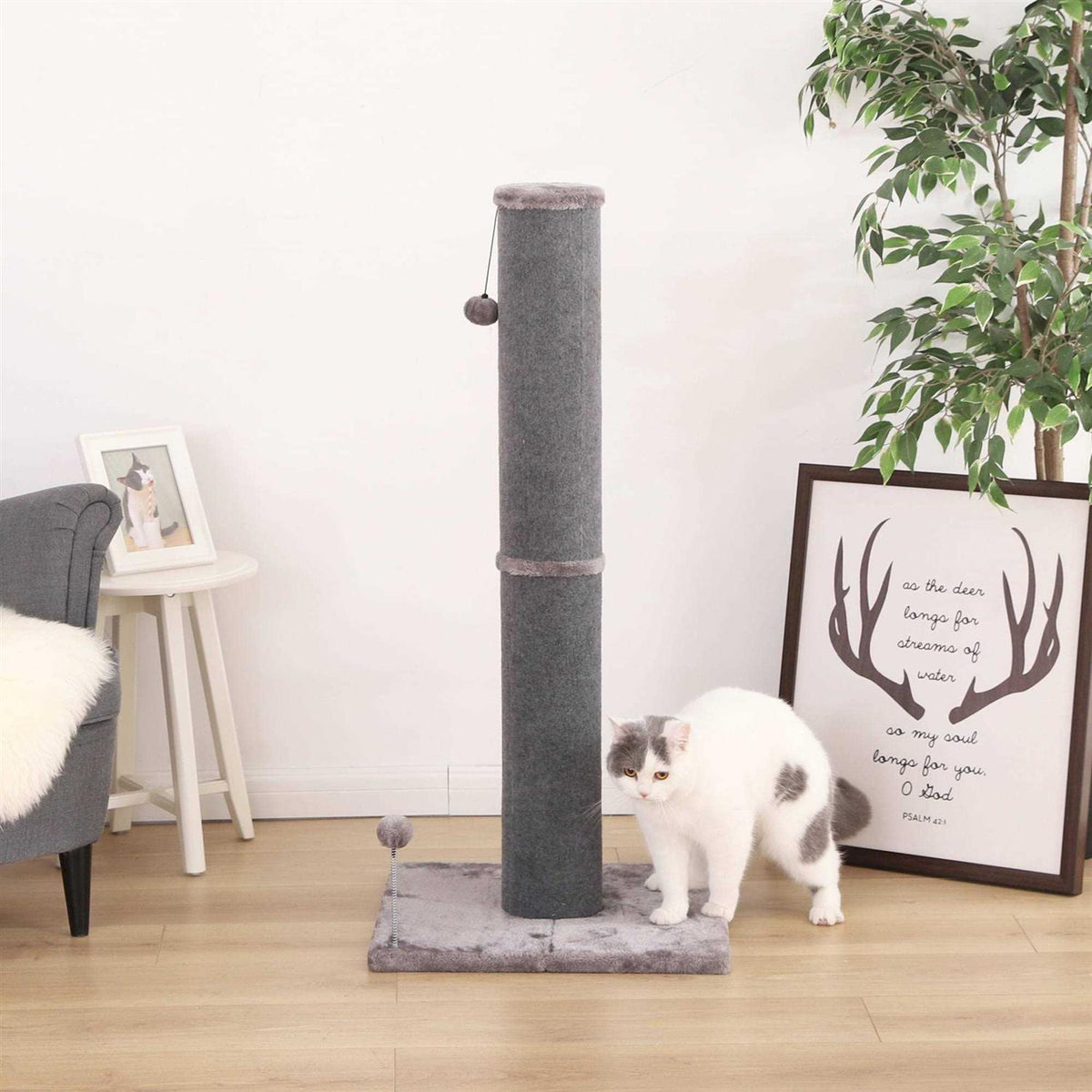 Cat Scratcher L220