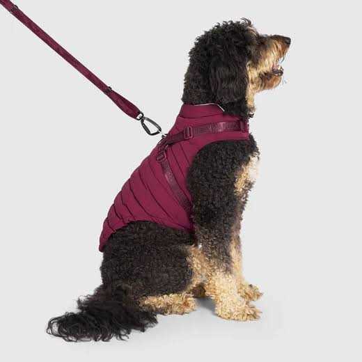 Black Harness Puffer D573822
