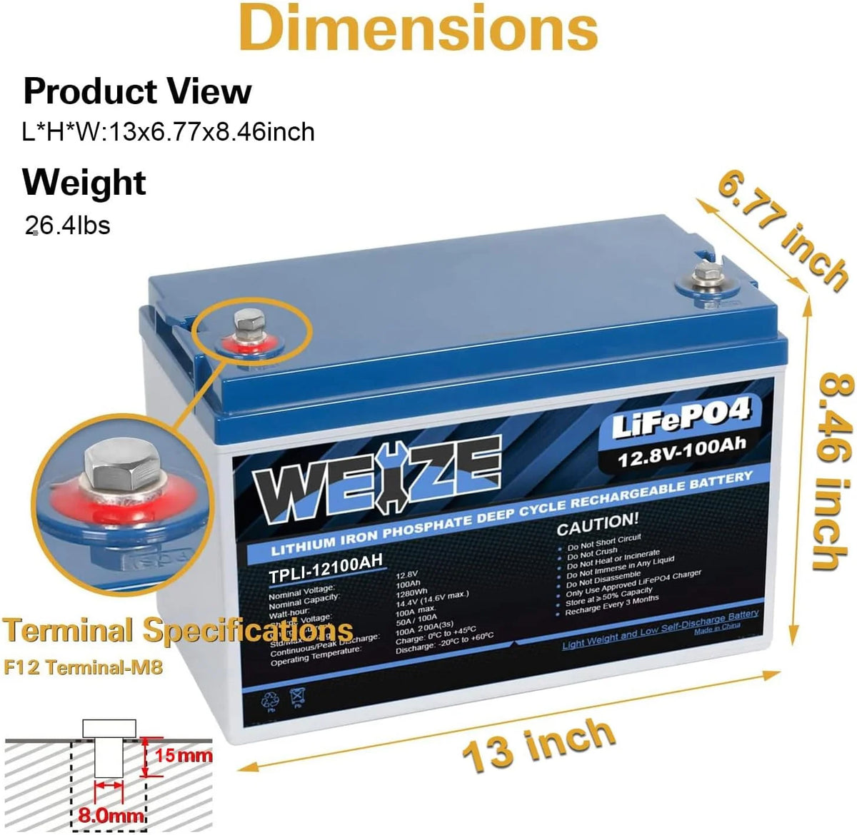 12V 100Ah LiFePO4 Lithium Battery with Smart BMS V8698