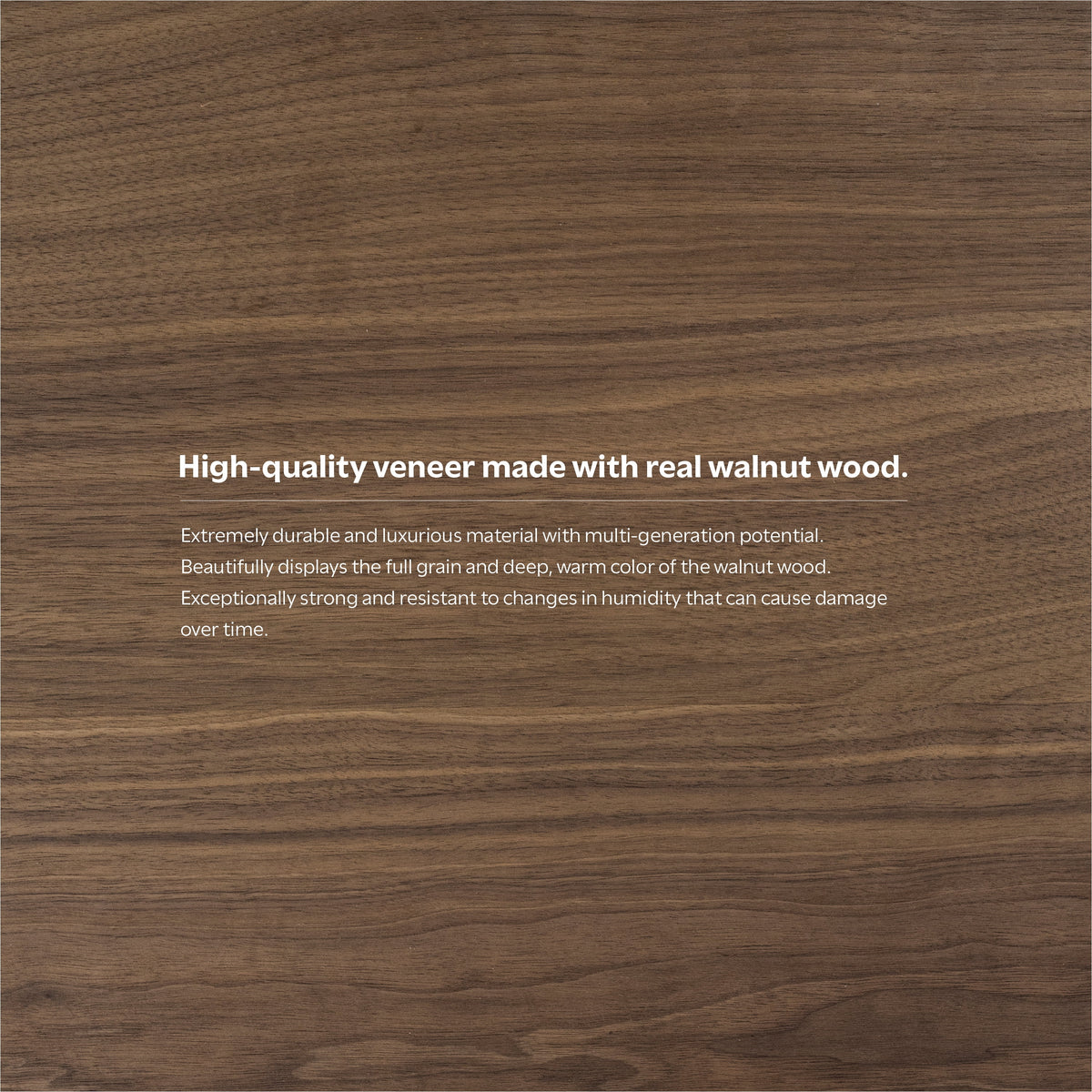 Walnut Wood Rectangle Dining Table E77543