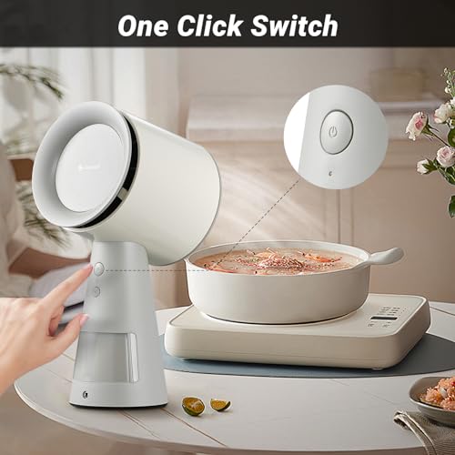 Portable Desktop Range Hood with 3 Speed Exhaust Fan W1363