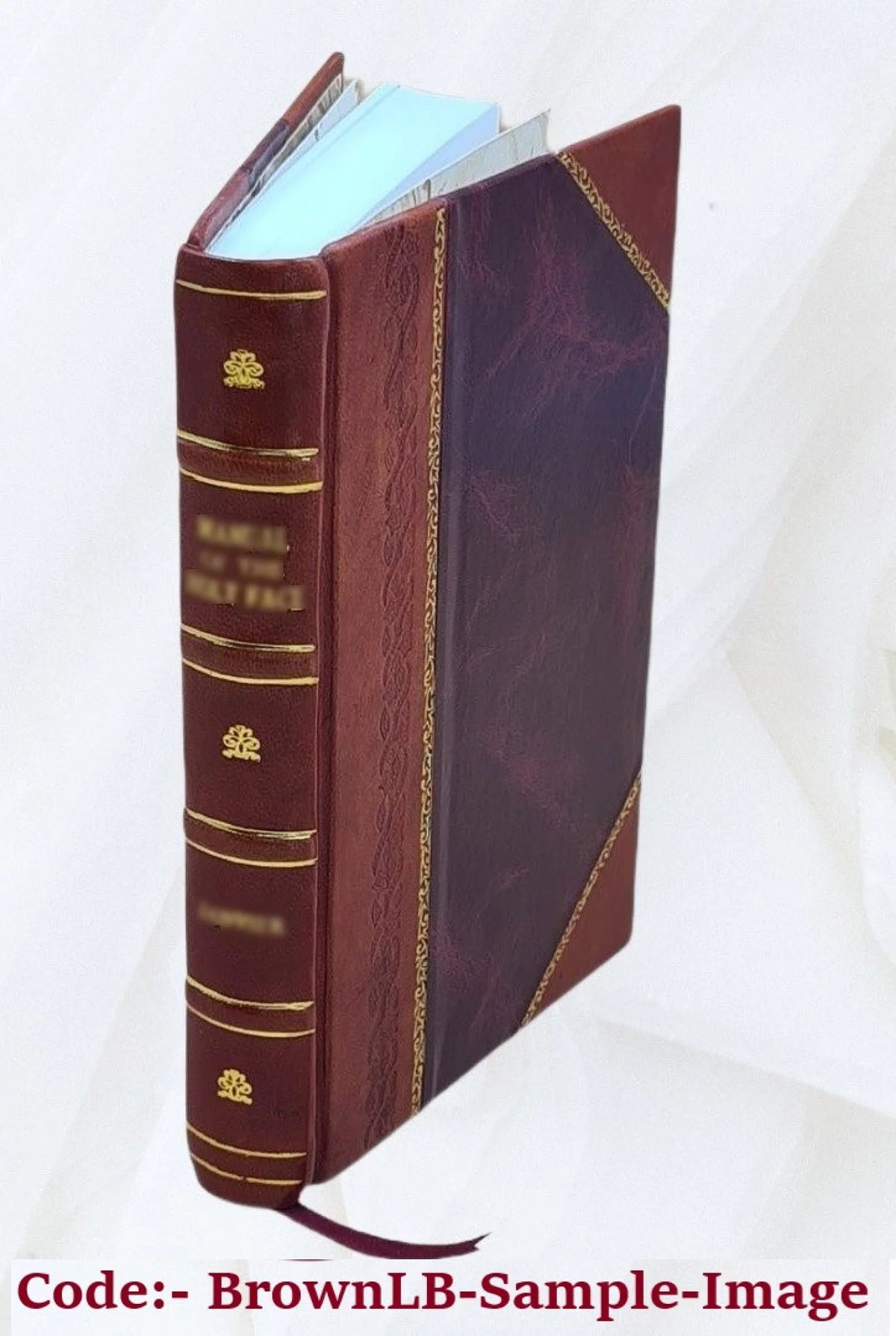 1895 Leather Bound Book H1696
