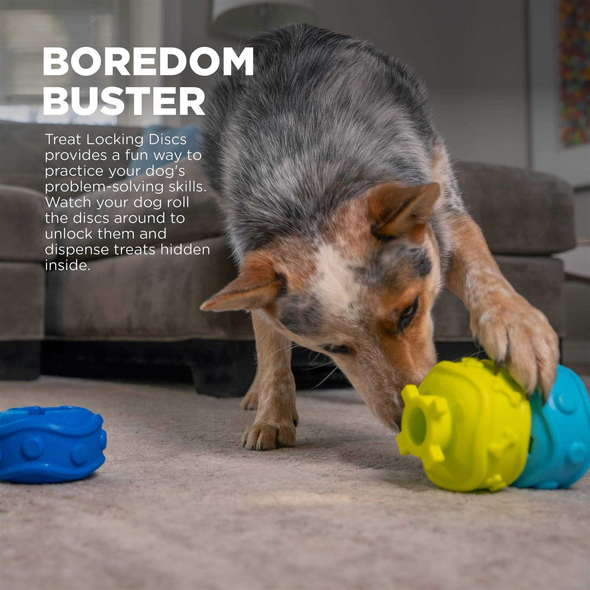 Treat Locking Discs Dispenser Puzzle Dog Toy N694611