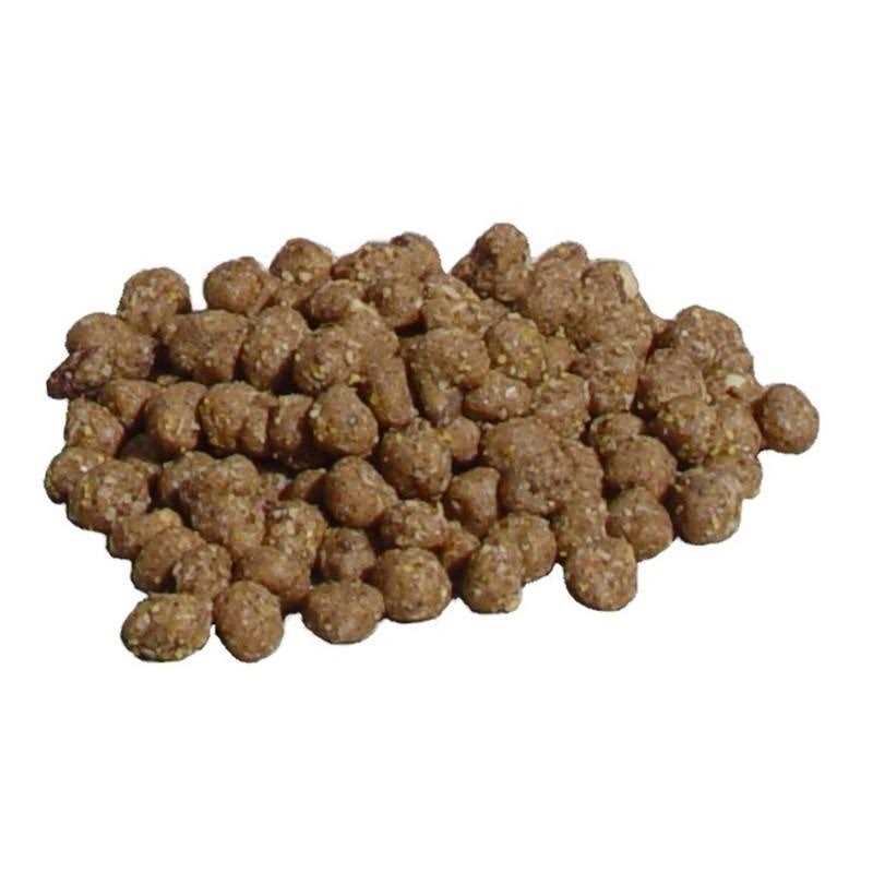 Peanut Suet Nuggets U184