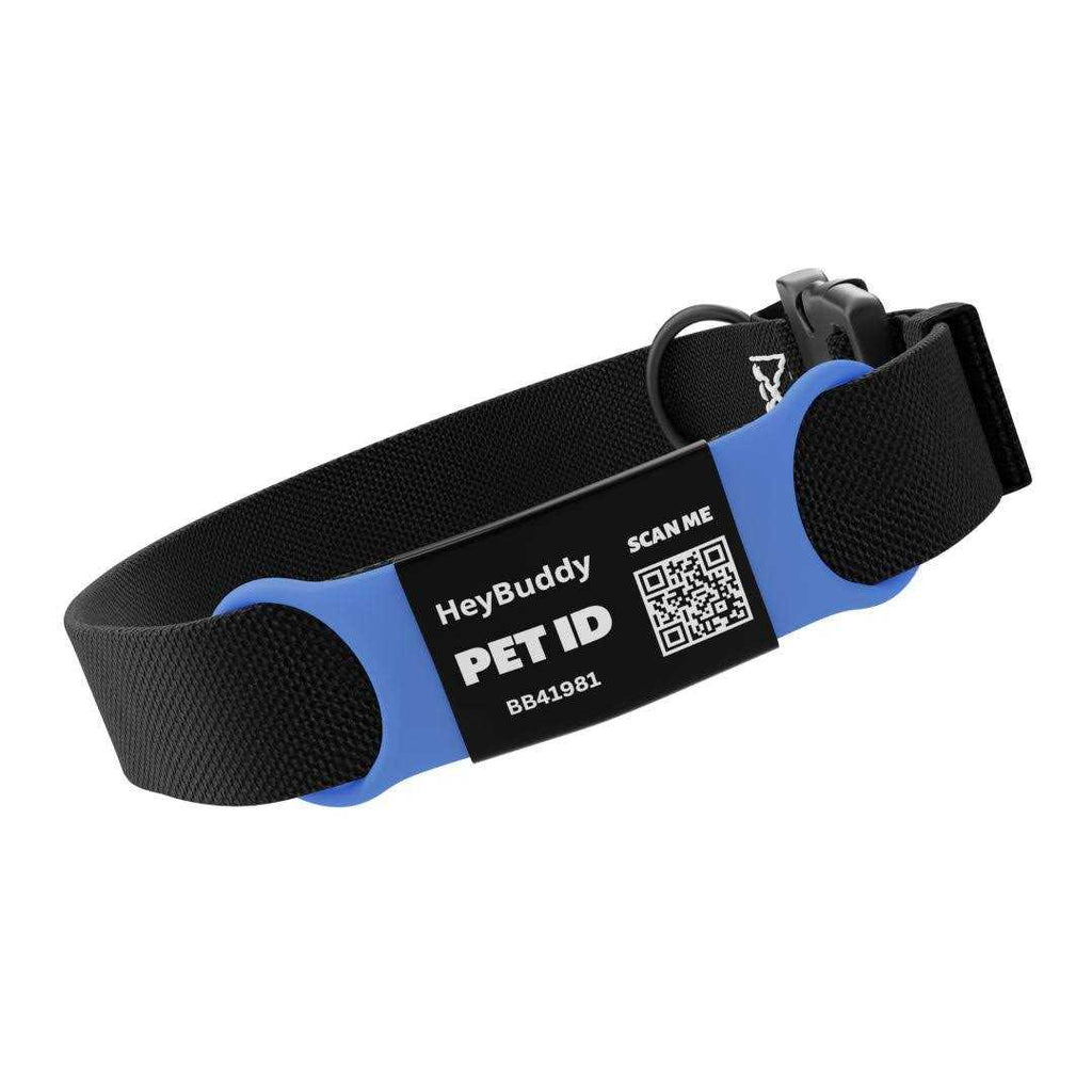 Noiseless QR Code Pet Tag A6060