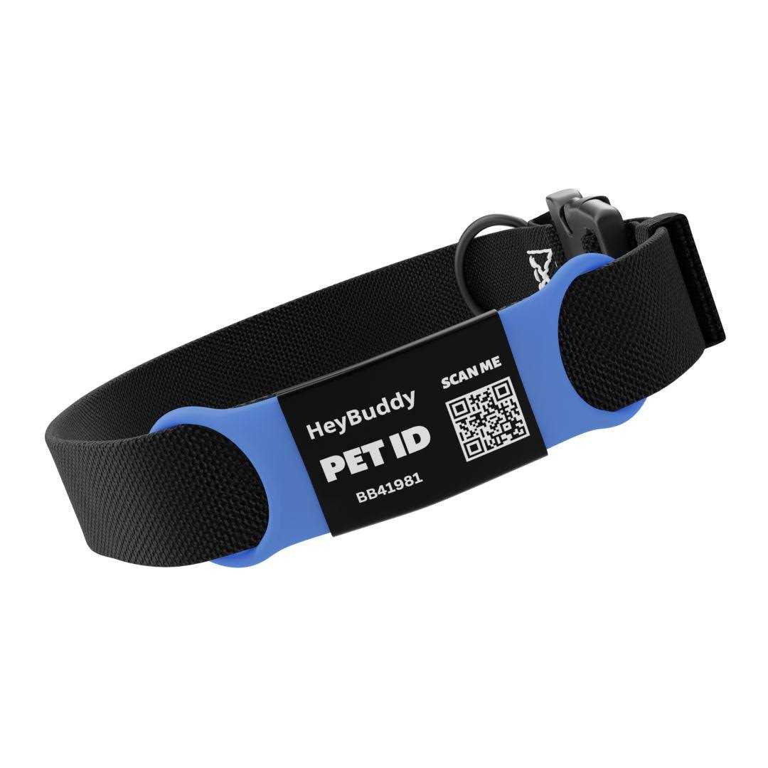 Noiseless QR Code Pet Tag A6060
