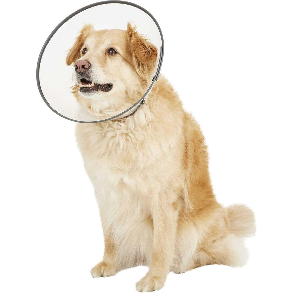Large Rigid E-Collar U818122