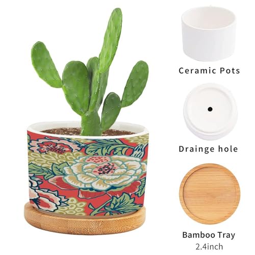Pink and Blue Ceramic Round Flower Pots with Drainage Holes and Bamboo Tray K72412