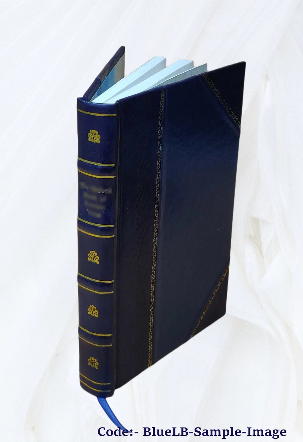 1895 Leather Bound Book H1696