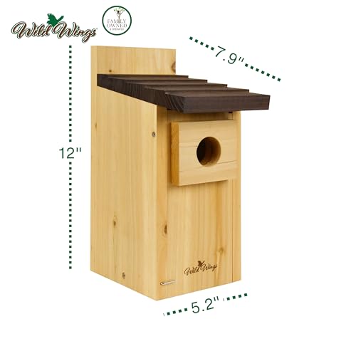Cedar Blue Bird Box House Z323311