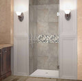 Stainless Steel Frameless Hinged Shower Door R6517