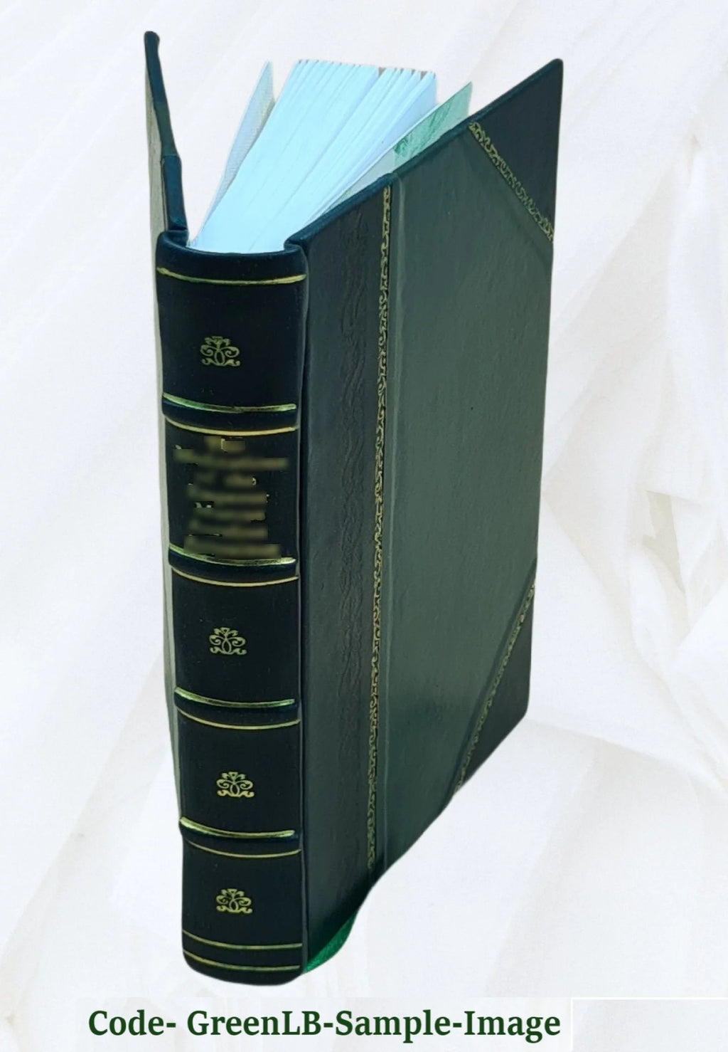 1895 Leather Bound Book H1696