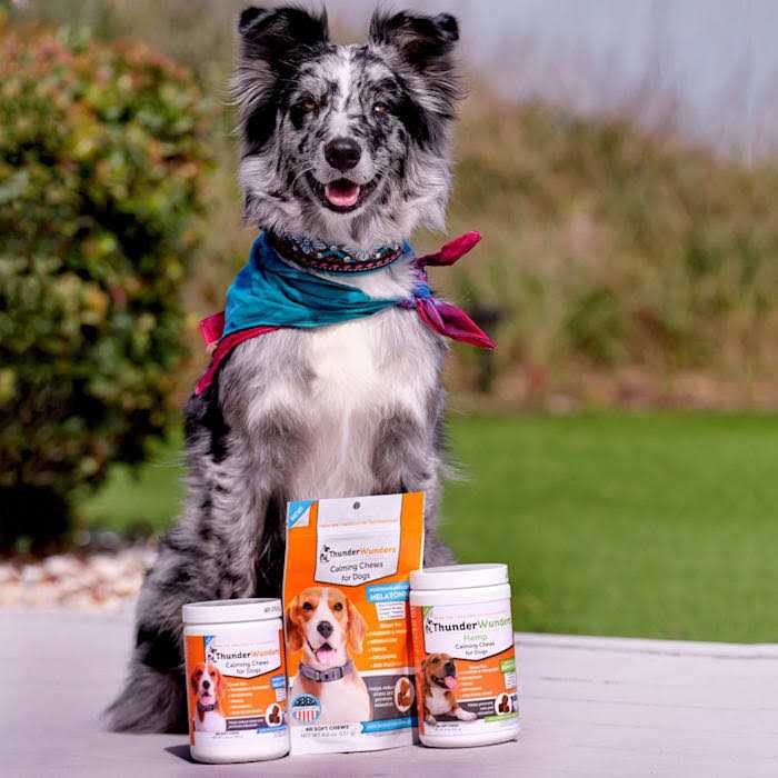 Hemp Calming Chews B2698