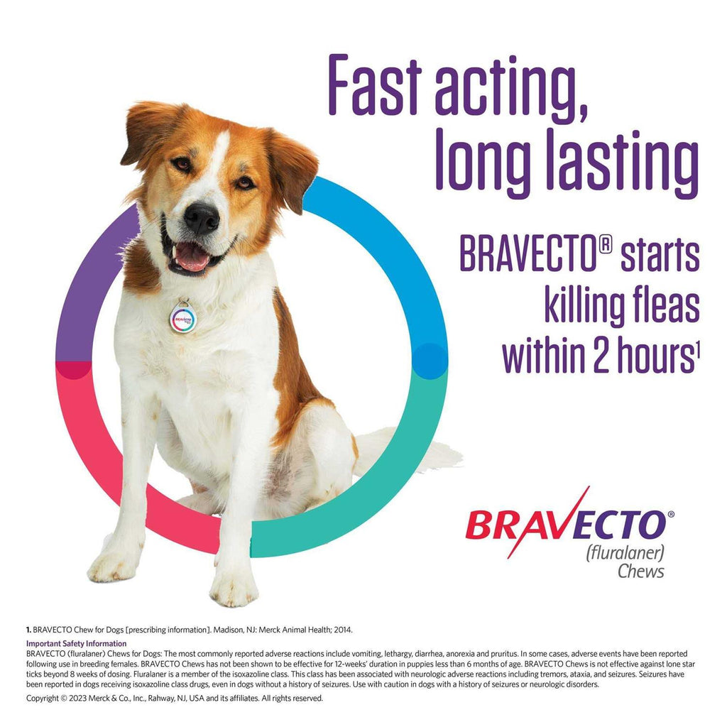 Bravecto Chews for Dogs X58038
