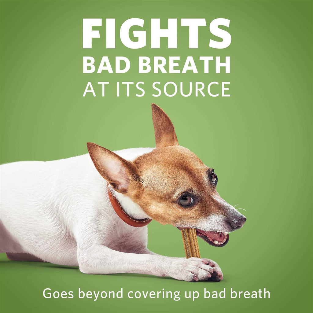 Daily Oral Care Mini Dog Chews U16161
