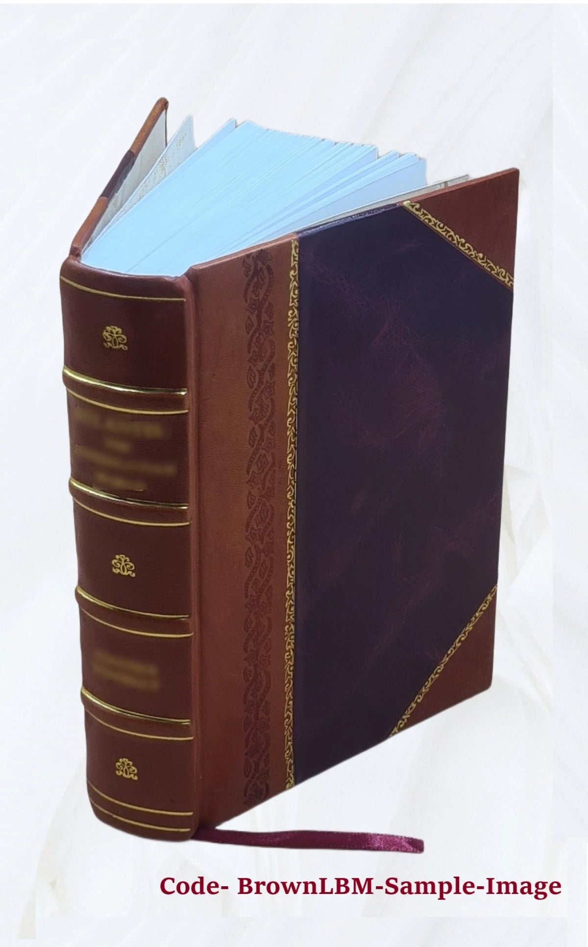 Exposição Medica Brasileira Leather Bound I6500