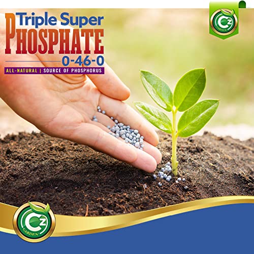 Triple Super Phosphate 0-46-0 Fertilizer U79512