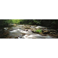 Poster Print 36 x 12 O945437