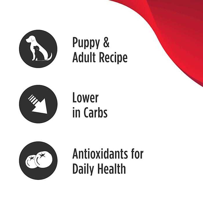 Grain Free Limited Ingredient Turkey Dog Food E630