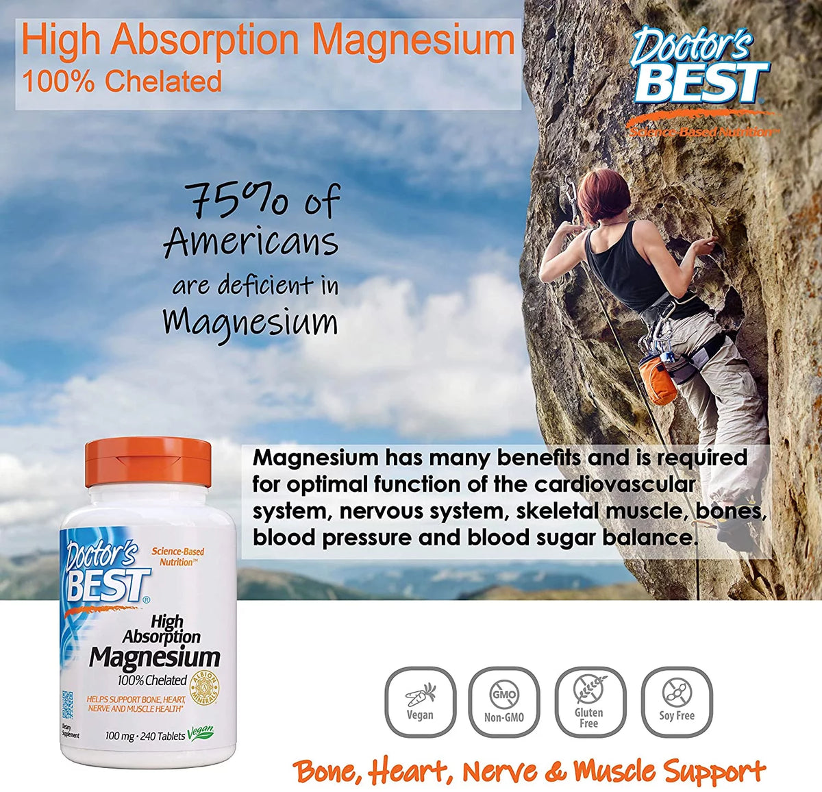 High Absorption Magnesium Multivitamins 100 mg, 240 Ct. Tablets H470291