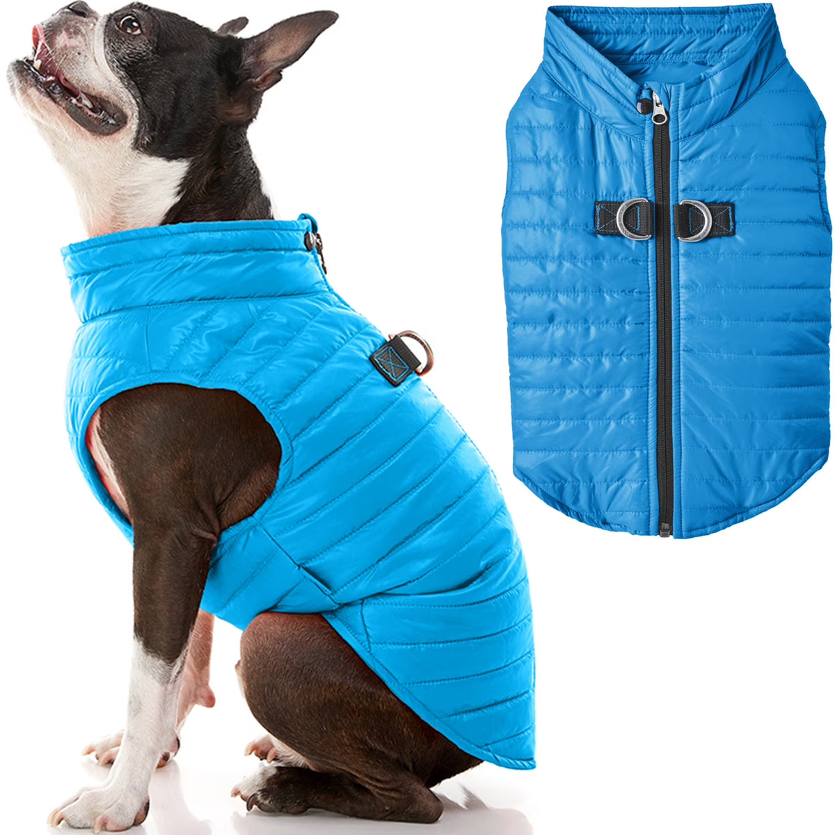 Blue Large Zip Up Dog Jacket L2357