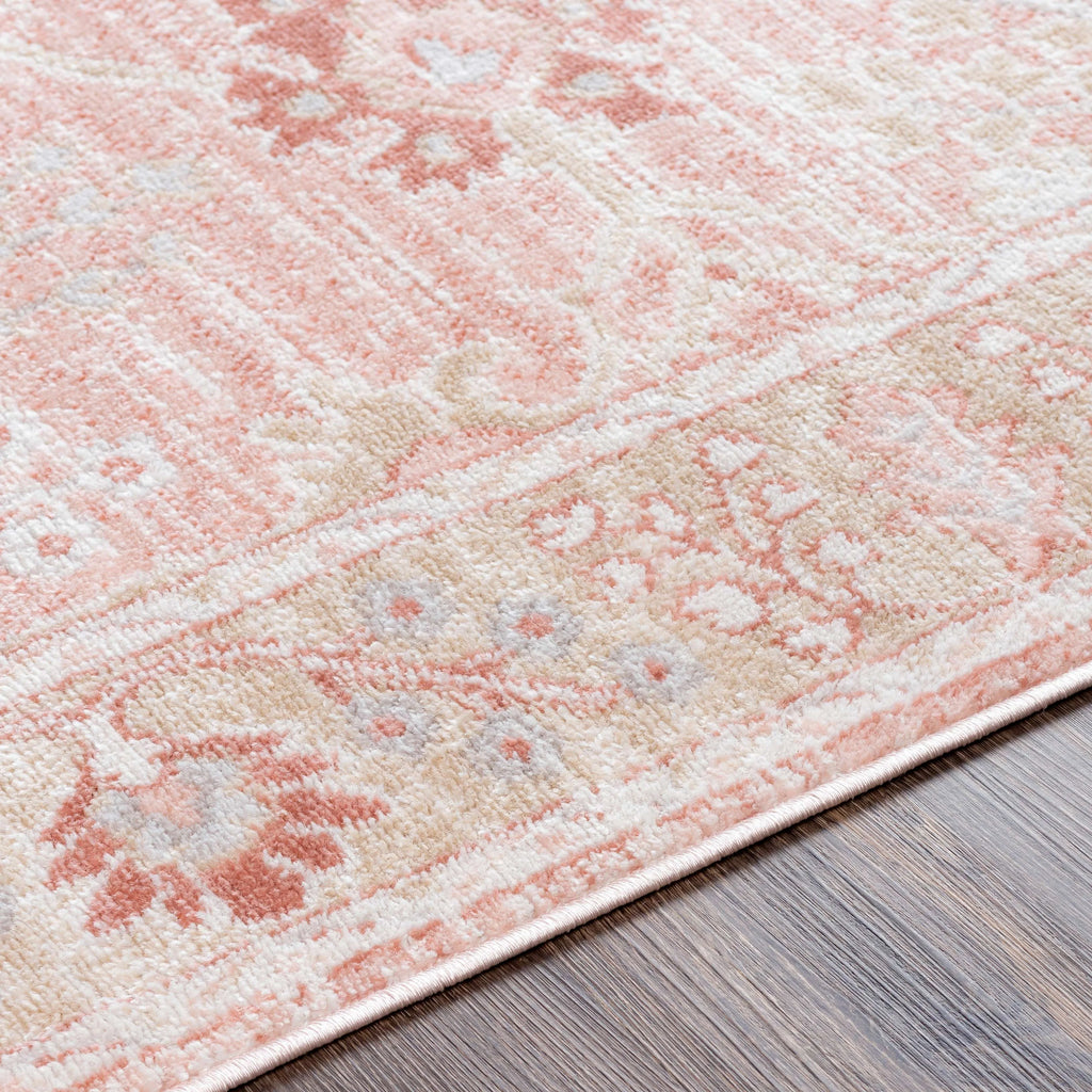 8x9 Traditional Cream Area Rug Q247585