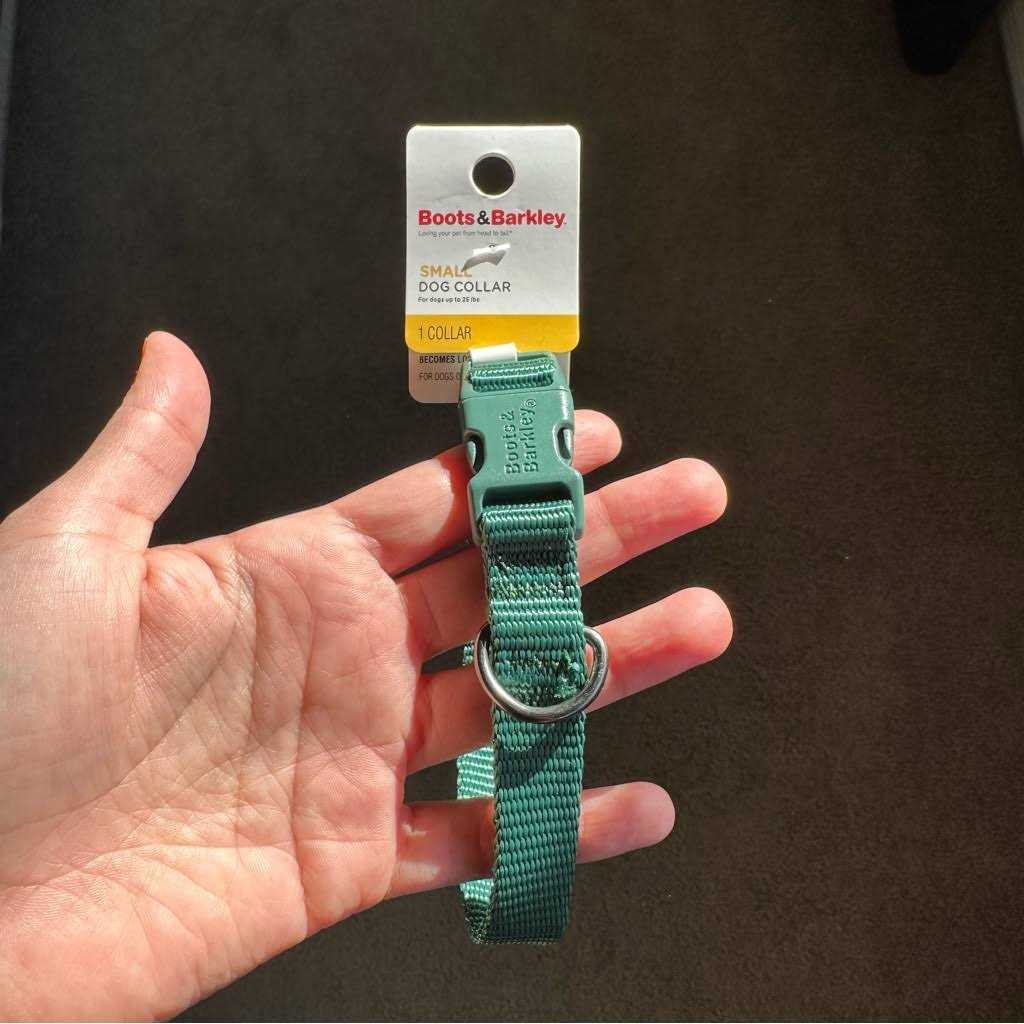 Basic Dog Collar F16340
