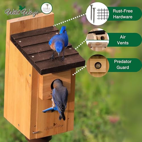 Cedar Blue Bird Box House Z323311