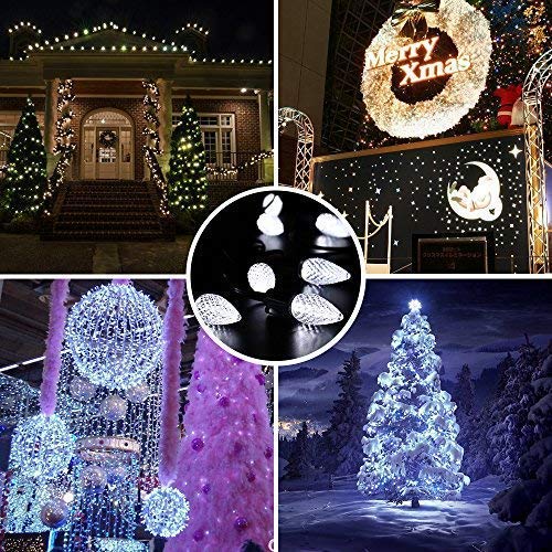 Cool White 16FT 25 LED Faceted Christmas Lights L31103