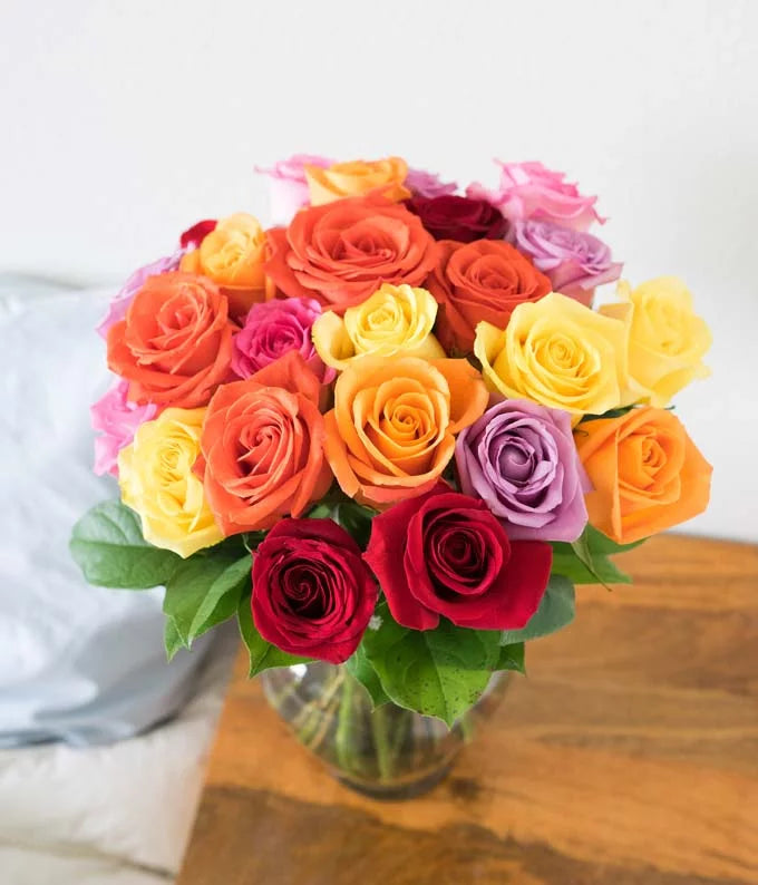 Two Dozen Mixed Rainbow Roses B6982