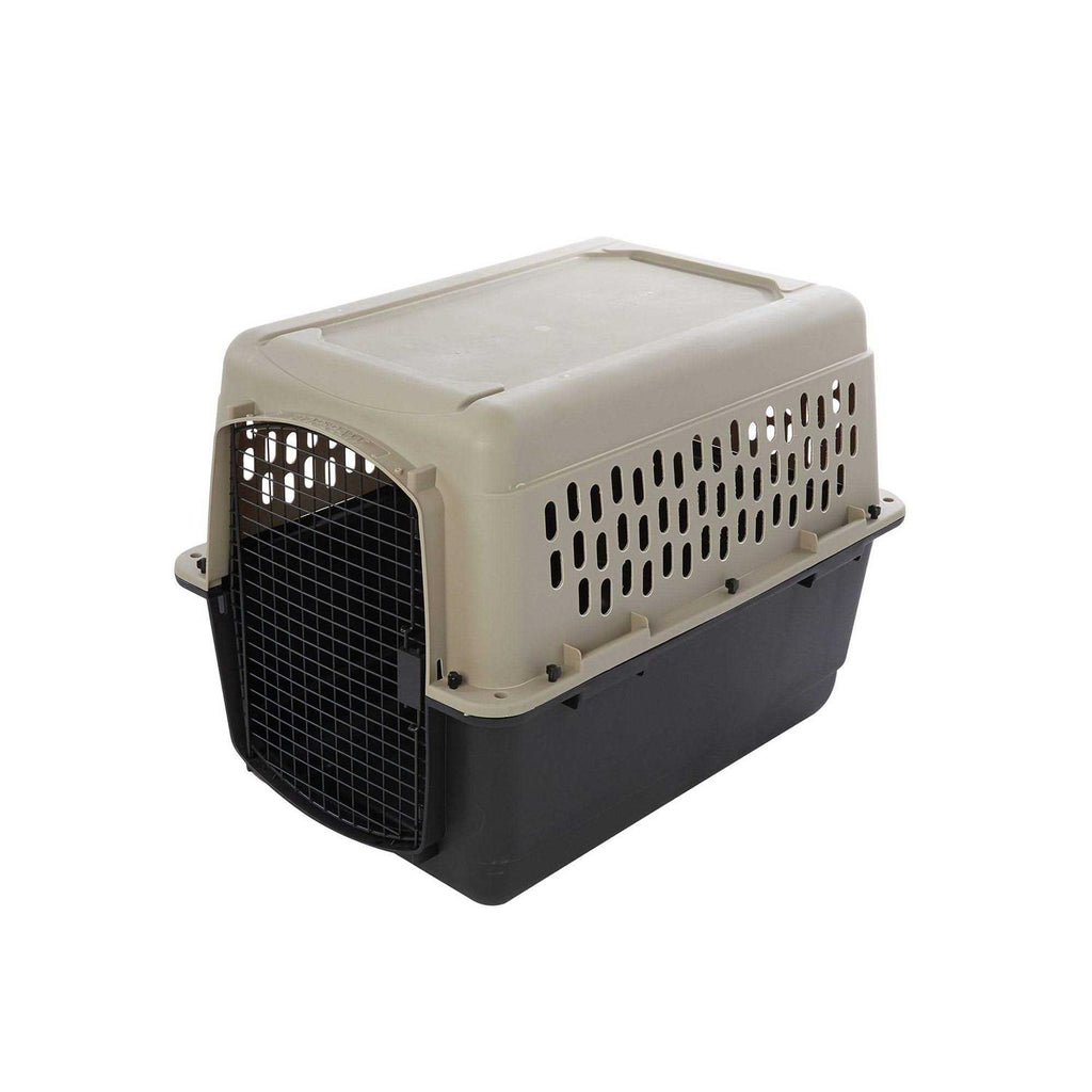 Portable Dog Carrier B830844