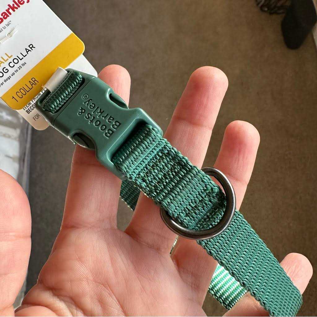 Basic Dog Collar F16340