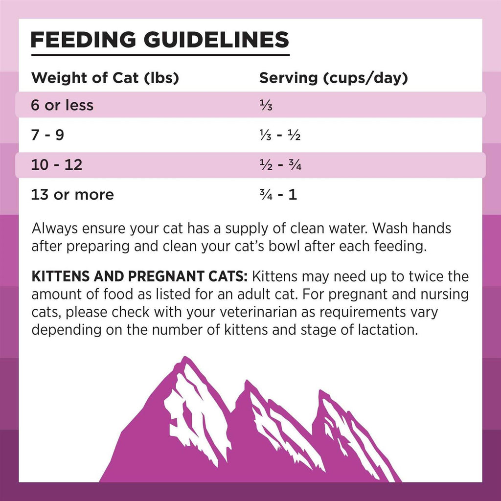 Chicken Recipe Dry Cat Food N70142