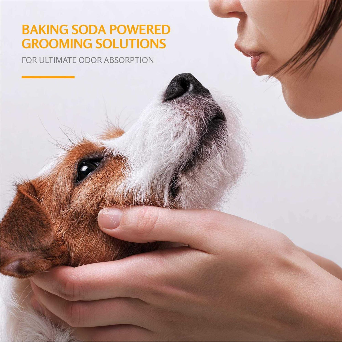 Deodorizing Dog Shampoo E63705
