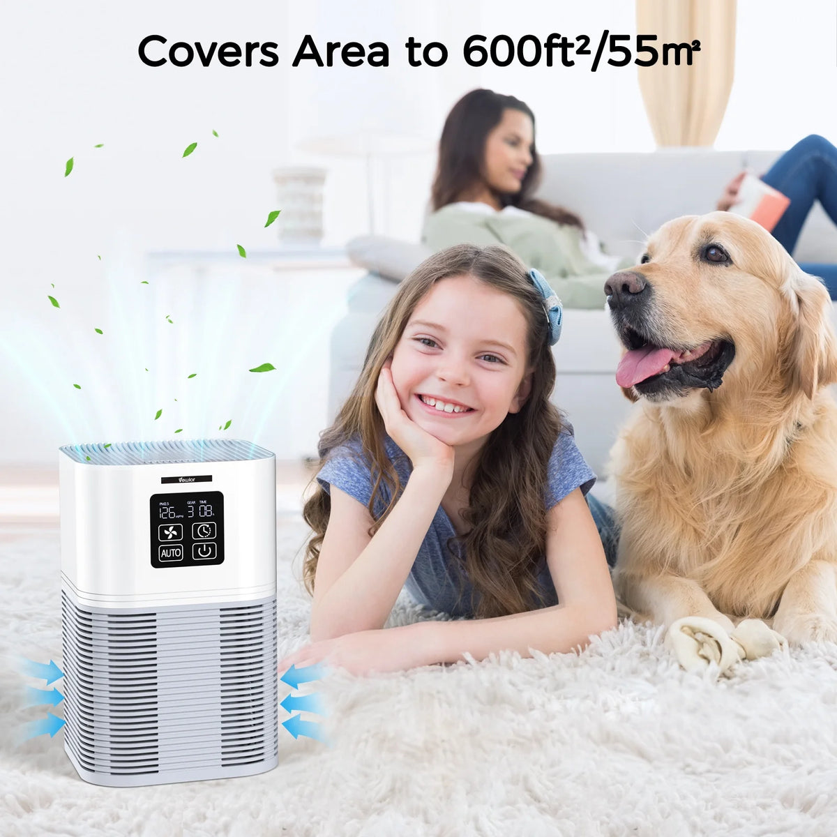 H13 True HEPA Air Purifier P249
