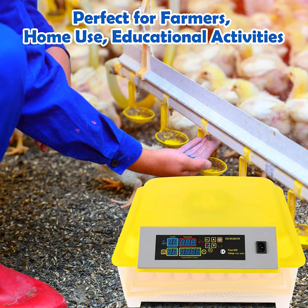 48 Eggs Automatic Incubator with Temperature Control and Automatic Egg Turning D365232