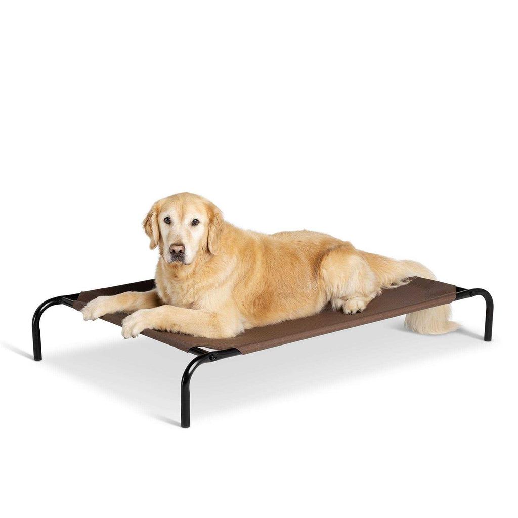 Elevated Dog Bed Y85482