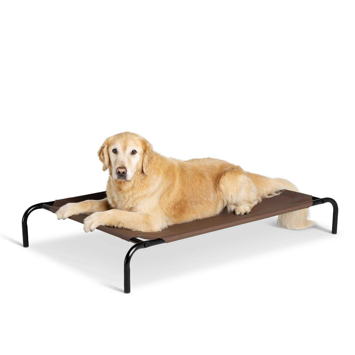 Elevated Dog Bed Y85482