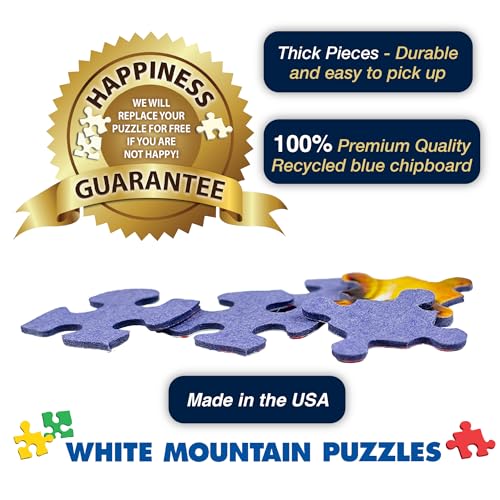 1000 Piece Jigsaw Puzzle 24"x30" V769