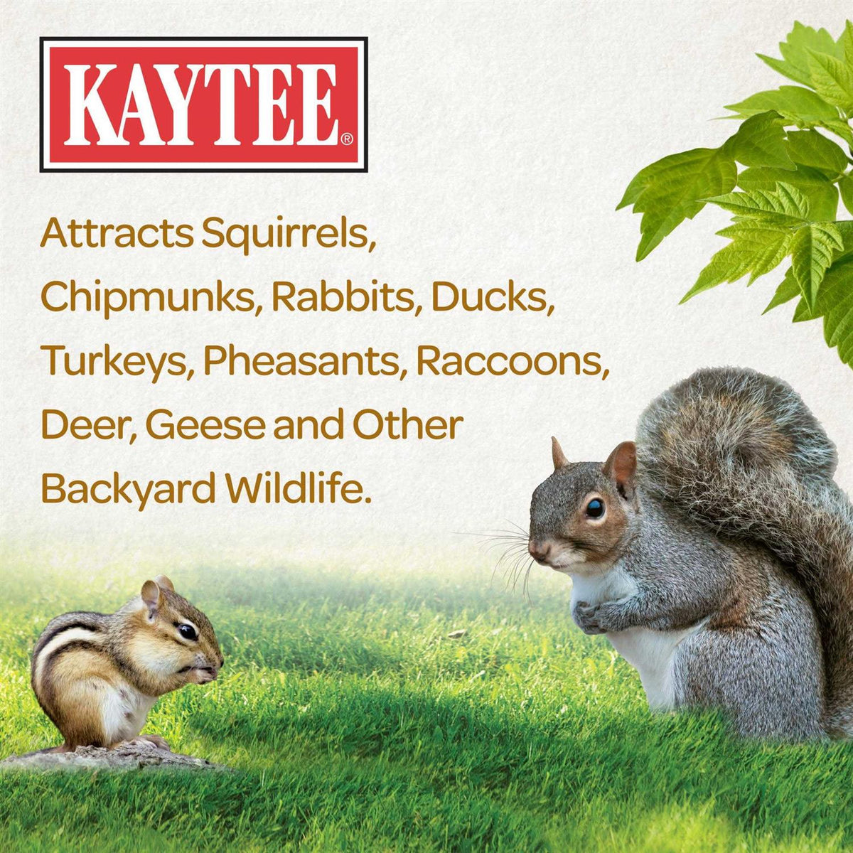 Squirrel Food W7889
