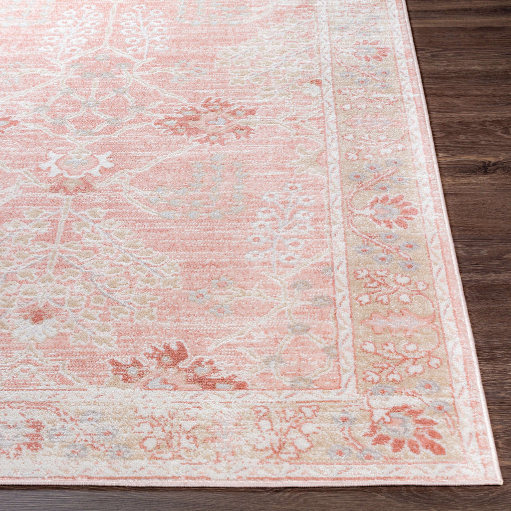 8x9 Traditional Cream Area Rug Q247585