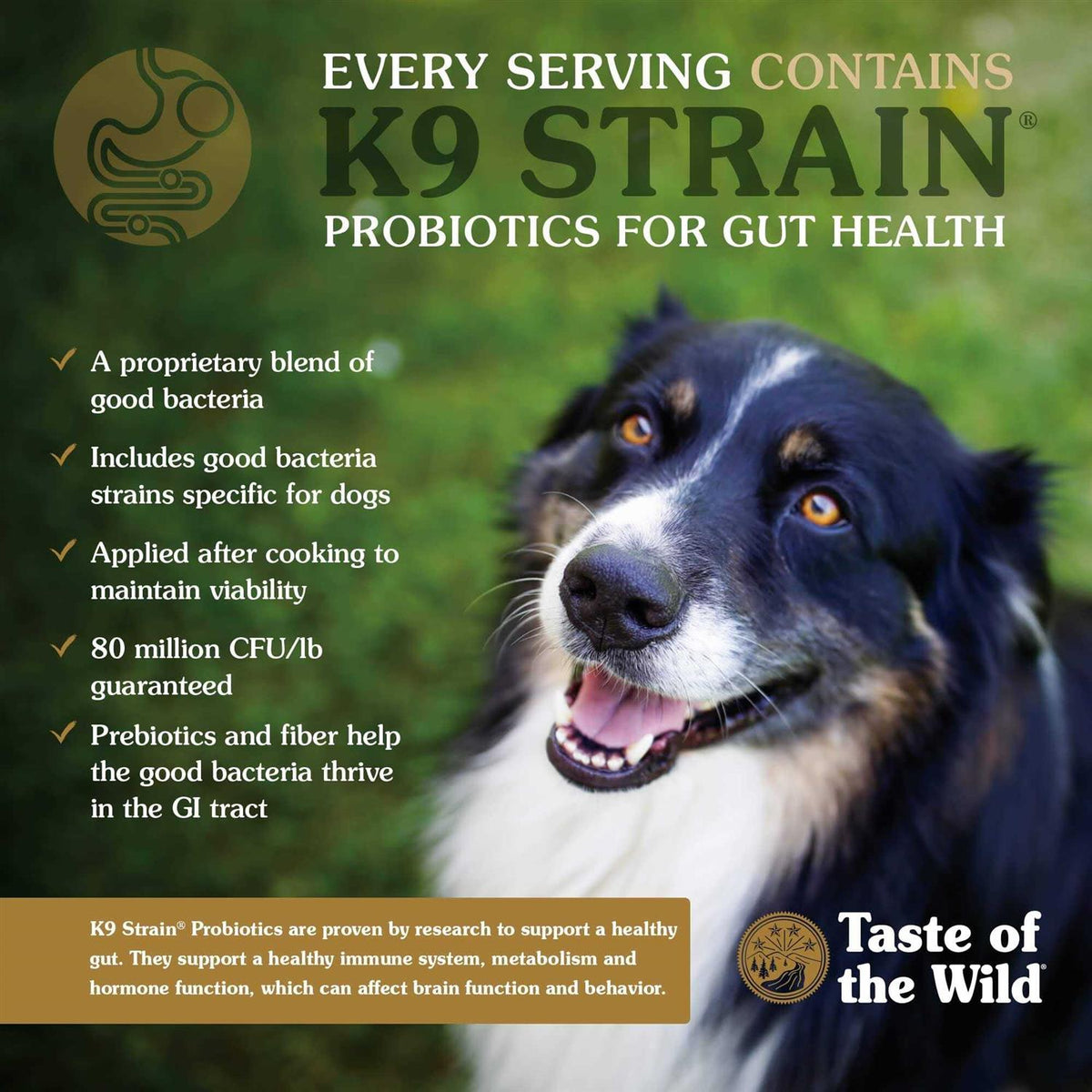 High Prairie Puppy Food O991606