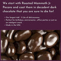 3 Lb Dark Chocolate Covered Pecans B147178