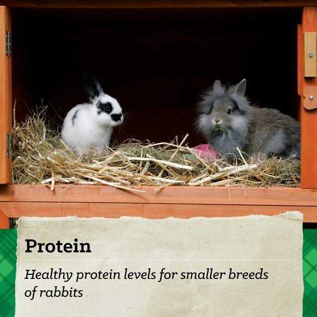 15% Rabbit Feed X605749