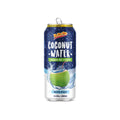 Canned Coconut Water 24-Pack E4646