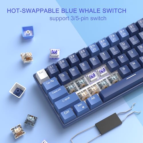 Dark Blue 68 Keys Compact Mechanical Keyboard R596