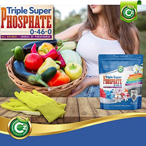 Triple Super Phosphate 0-46-0 Fertilizer U79512